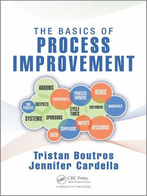 cover image of The Basics of Process Improvement